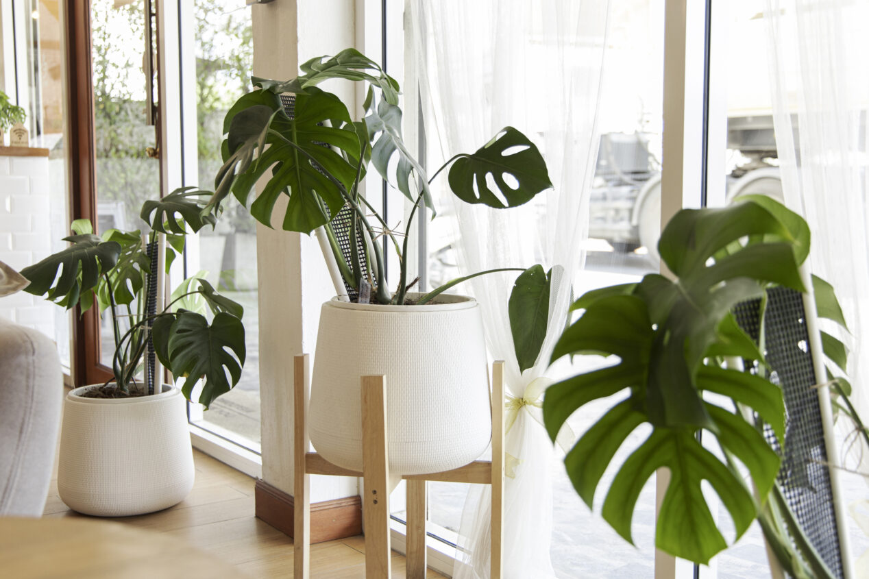 I Stock 1441770076 1