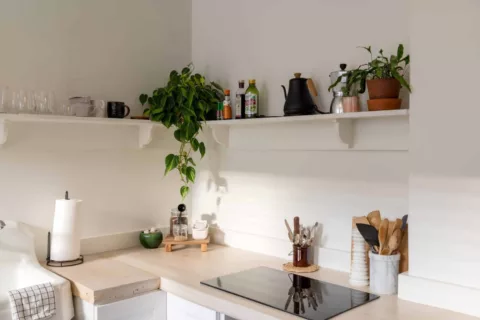 Andrea davis 9 Fp W Lxc Lzt I unsplash