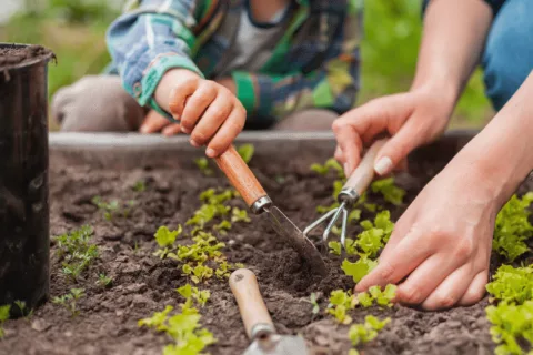 Mosaic Balcatta Graphics 3