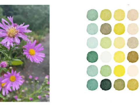 Blog photo template 2022 03 23 T092632 215