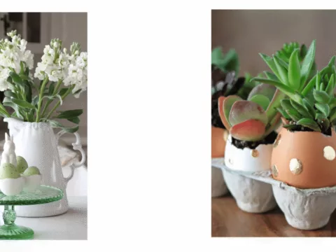 Blog photo template 2022 03 23 T093034 630