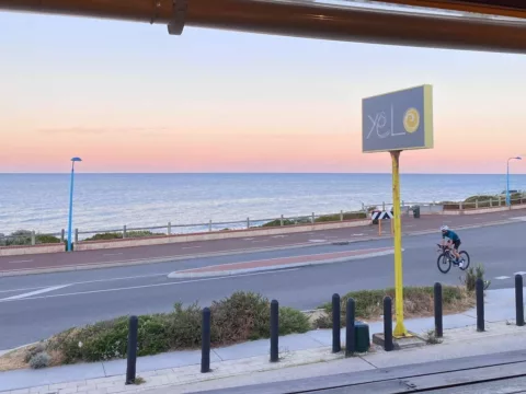 272486566 3116446688676902 7178614441220672283 n