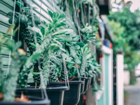 Oc gonzalez Tj80edqr TCM unsplash